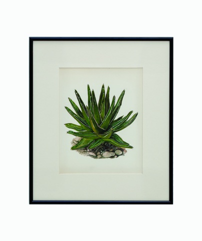 Original Fabulous 1970's Vintage Botanical Cactus 3 