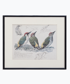 BIRD_03