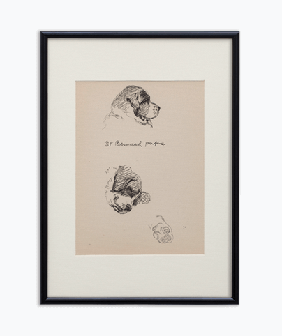 DOGS_05