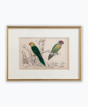 VICTORIAN BIRDS_03