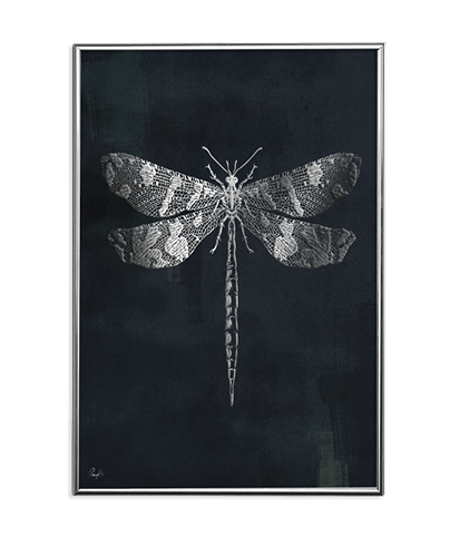 SILVER DRAGONFLY NIGHT