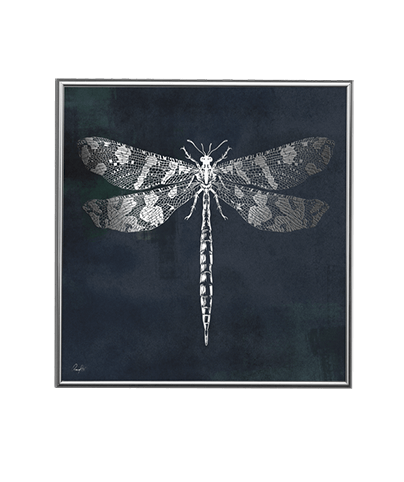 SILVER DRAGONFLY NIGHT_SQ