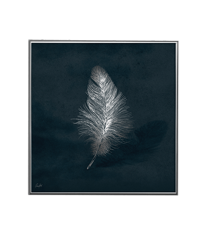SILVER FEATHER NIGHT_SQ