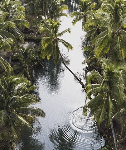 LANDSCAPE_02