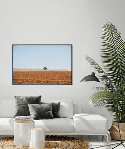 HOMELAND_04
