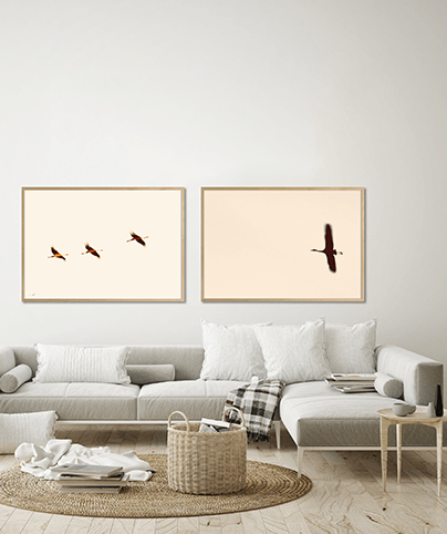 CRANES