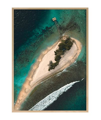 REEF_13