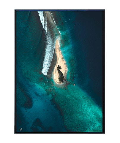 REEF_14