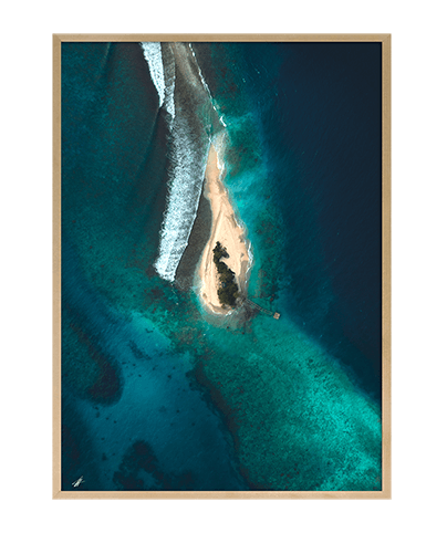 REEF_14
