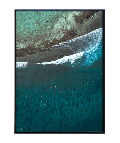 REEF_15