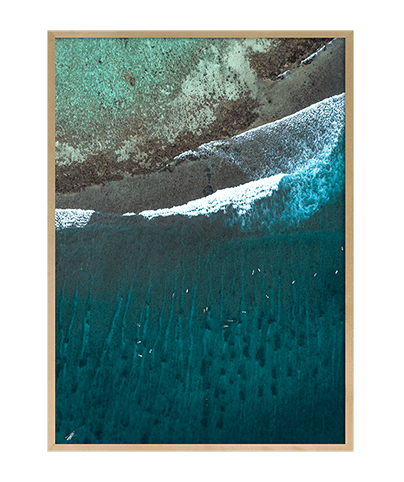 REEF_15