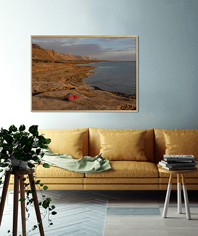 REEF_24