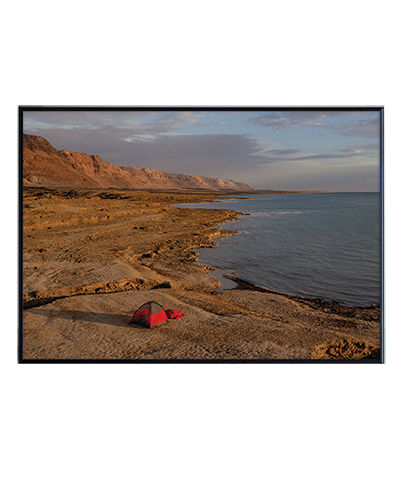 REEF_24