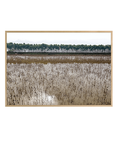 LANDSCAPE_20