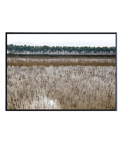 LANDSCAPE_20