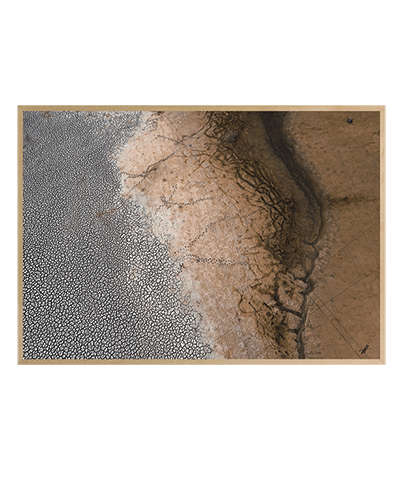 LANDSCAPE_05
