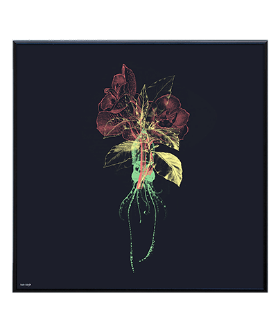 NATURE_03