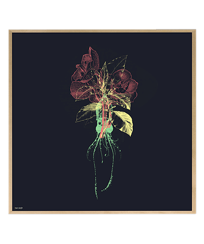 NATURE_03