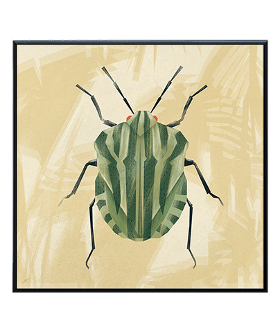WILD_02_SQ