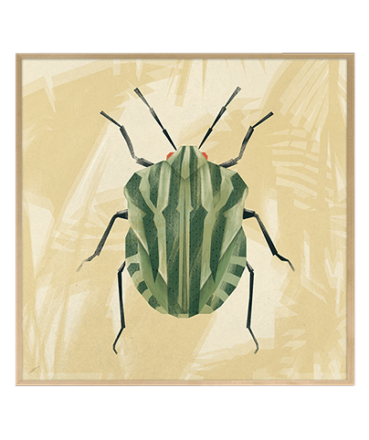 WILD_02_SQ