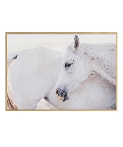 NOBILITY_01