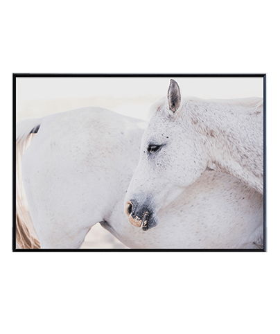 NOBILITY_01