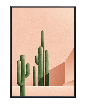 CACTUS_01