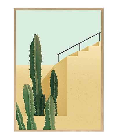 CACTUS_01
