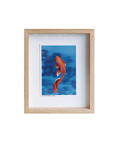 SWIMMER_02