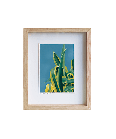 AGAVE_01