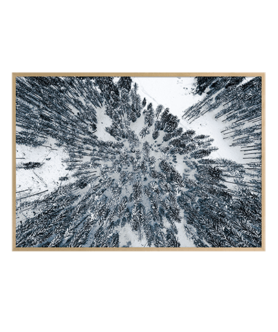 FROZEN_02
