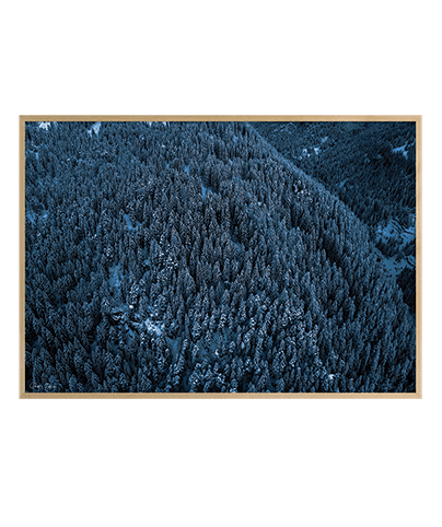 FROZEN_01
