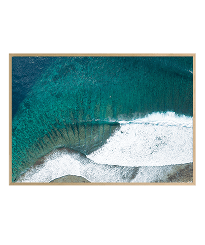 REEF_02