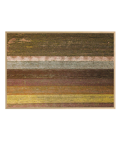 LANDSCAPE_13