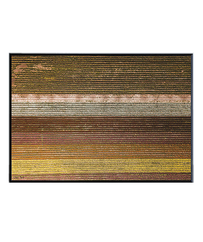 LANDSCAPE_13