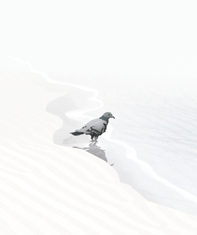 LUCID_01