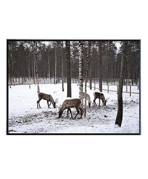 ARKTIKUM_04