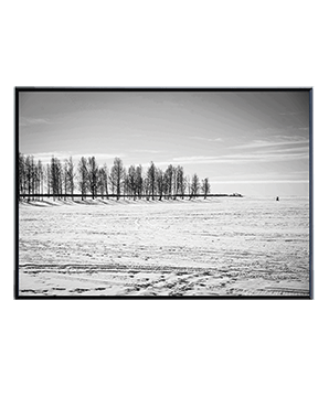 ARKTIKUM_06