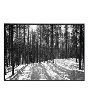 ARKTIKUM_07