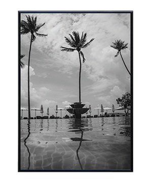 DARK_PALM_02