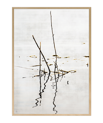 ZEN_18