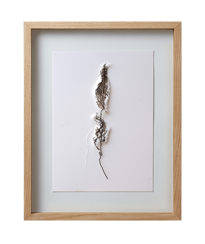 SPINE 15